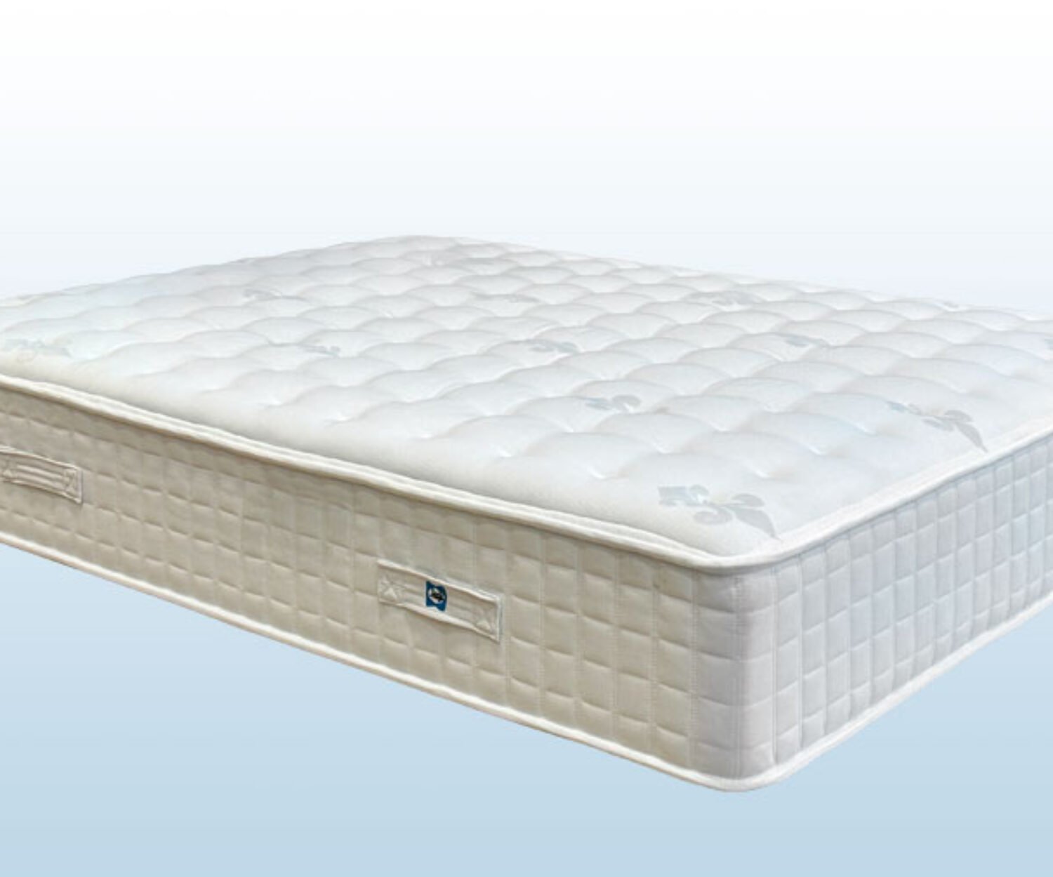 IOWA Soft 2023-degradado